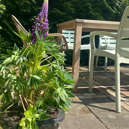 Charming Entire Near Amsterdam * Hilversum